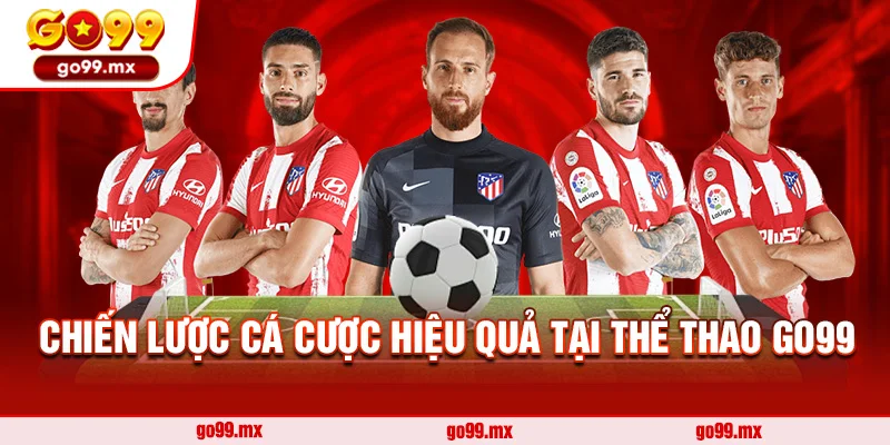 Chiến lược cá cược hiệu quả tại thể thao Go99