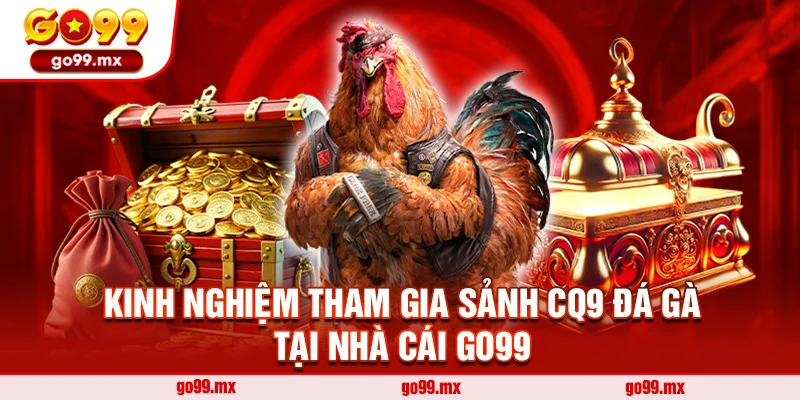 Kinh nghiệm tham gia sảnh CQ9 đá gà tại nhà cái Go99