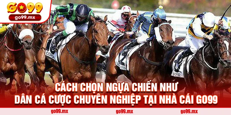 Cách chọn ngựa chiến như dân cá cược chuyên nghiệp tại nhà cái Go99