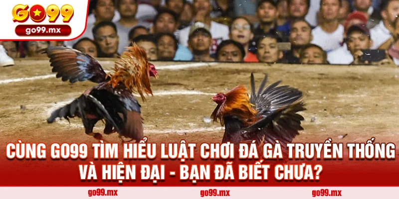 Cùng Go99 Tìm Hiểu Luật Chơi Đá Gà Truyền Thống Và Hiện Đại - Bạn Đã Biết Chưa?