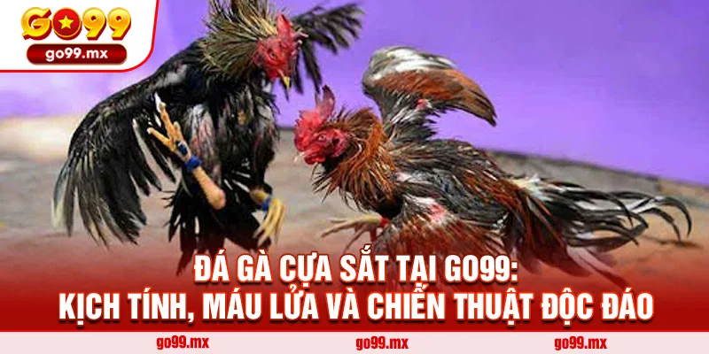 Đá Gà Cựa Sắt Tại Go99: Kịch Tính, Máu Lửa Và Chiến Thuật Độc Đáo