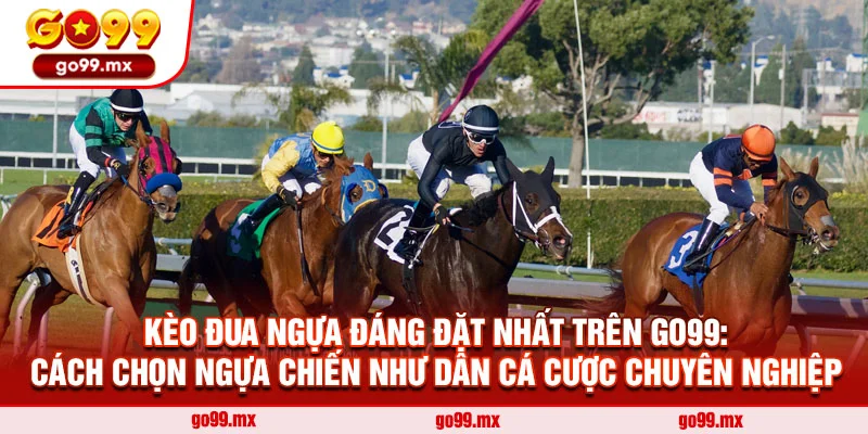 Kèo Đua Ngựa Đáng Đặt Nhất Trên Go99: Cách Chọn Ngựa Chiến Như Dân Cá Cược Chuyên Nghiệp