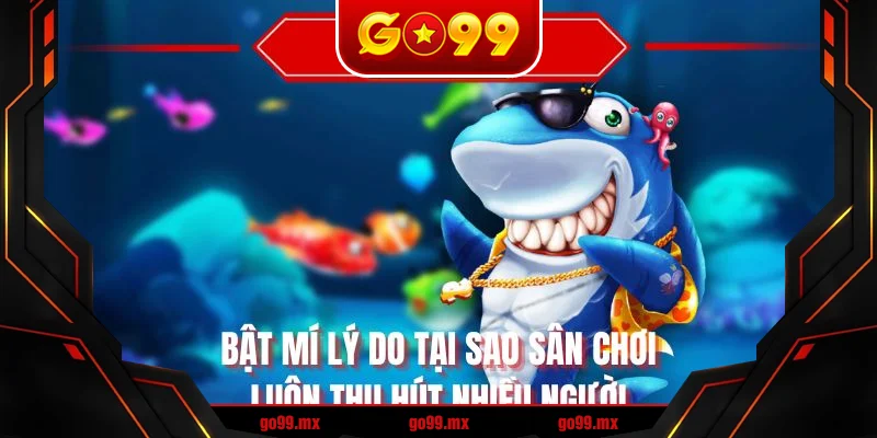 Bật mí lý do tại sao sân chơi luôn thu hút nhiều người Bật mí lý do tại sao sân chơi luôn thu hút nhiều người
