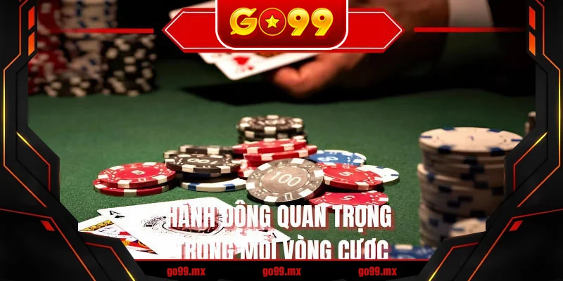 Hành động quan trọng trong mỗi vòng cược